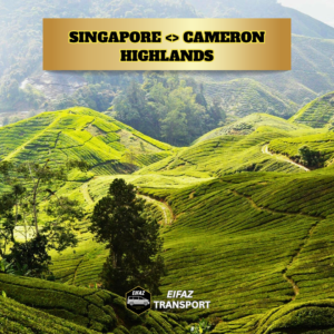 SINGAPORE - CAMERON HIGHLAND (TOUR)