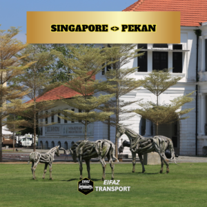 SINGAPORE <> PEKAN (TRANSFER)