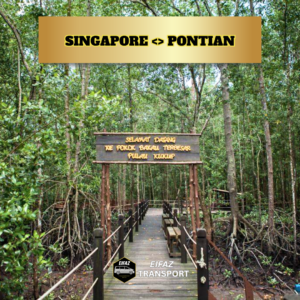 SINGAPORE <> PONTIAN  (TRANSFER)